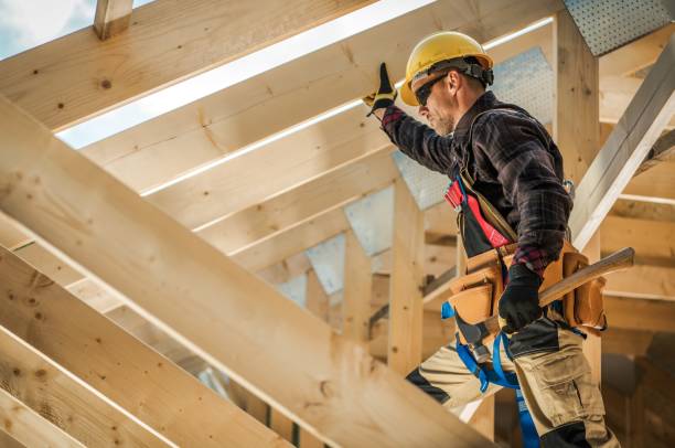 Best Roof Maintenance Services  in Petersburg, IL