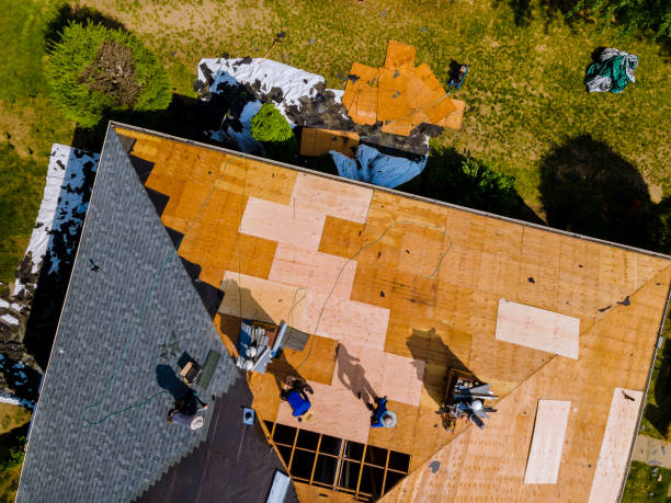 Best Residential Roofing Contractor  in Petersburg, IL