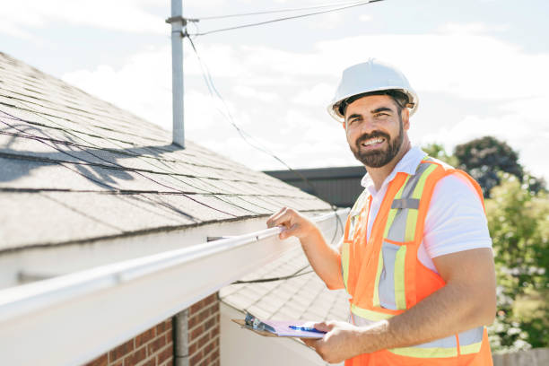 Best Roof Gutter Cleaning  in Petersburg, IL