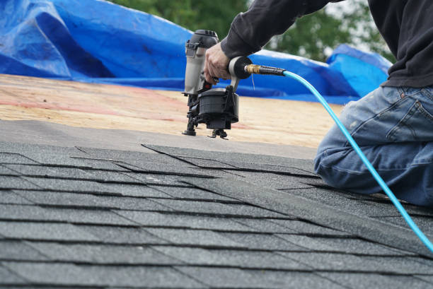 Best Storm Damage Roof Repair  in Petersburg, IL