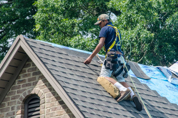 Best Storm Damage Roof Repair  in Petersburg, IL